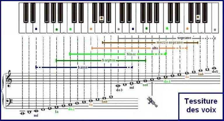 Les 6 Voix Essentielles : Chant et Ambitus Explorés